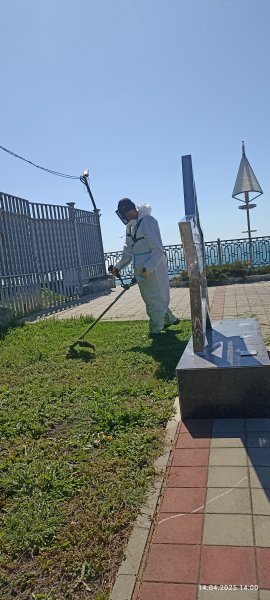 Анапа. Стрижка газона