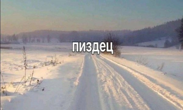 2d6d3fcf1a 20275605
