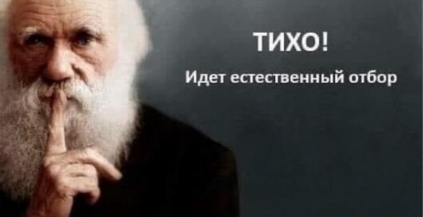 A8fd4b4c55 20275700
