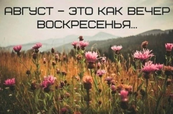 ffc0110 20271532