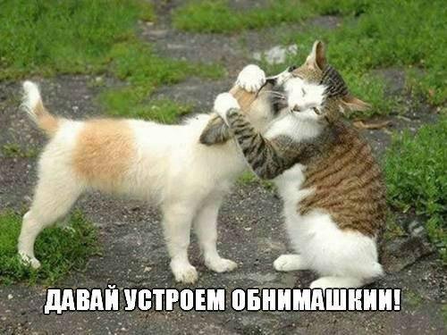 Опаньки!