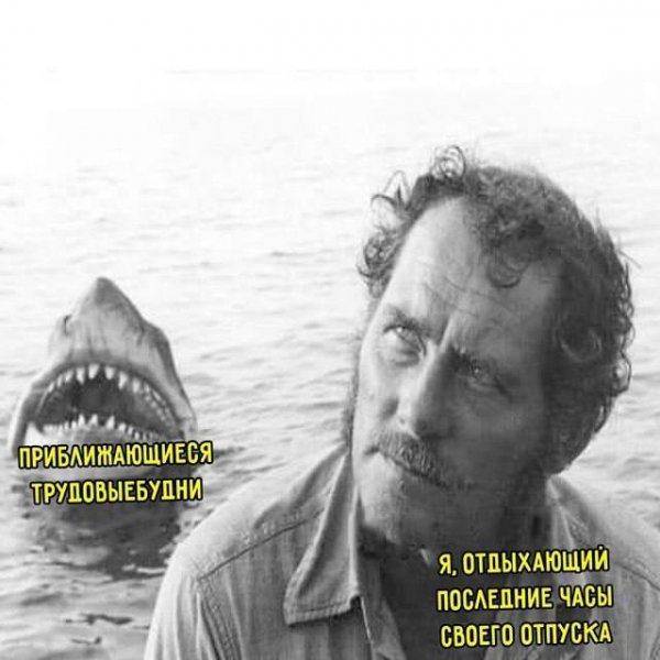 4a6e83f740 20301774