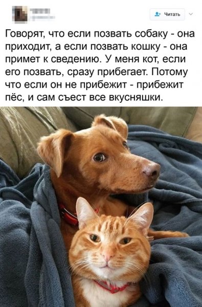 Говорят...