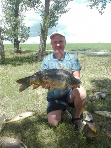 picture_372547952