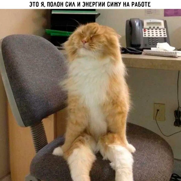 p.1200.1200.0