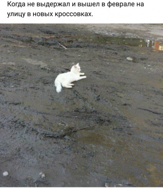 C5d8d2c77d 0000000000000