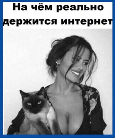Рейтинг