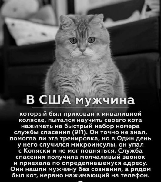 3z6GyqNJue6UmJvZqBhWJFoP-mUfm-sQEzk9RU1shU6ZqzdD6xwMMc6n06Y