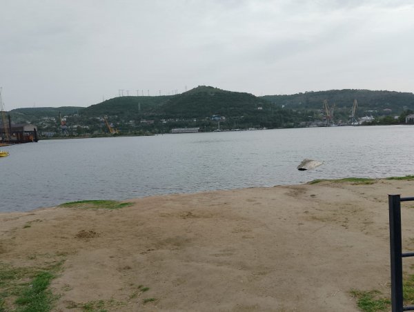 IMG-20240428-WA0003
