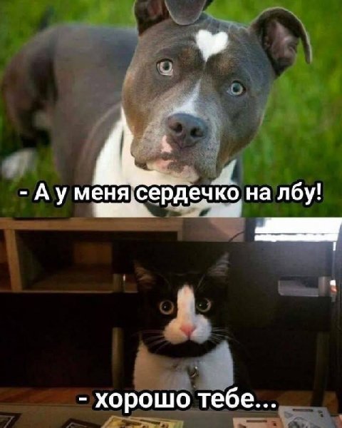 )