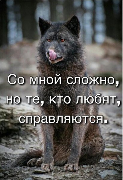 IMG 20250203 101113 523