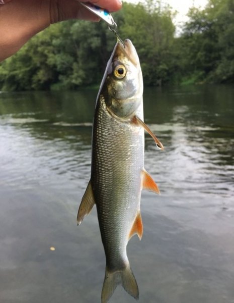 picture_388560824