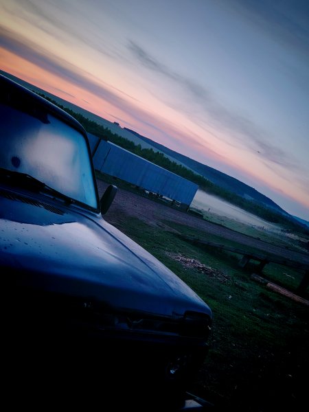 picture_394392833