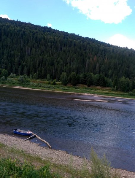 picture_394848244