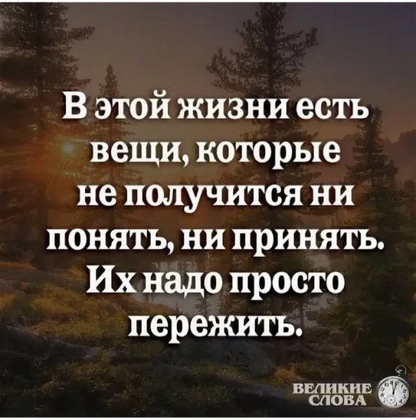 Верные слова!