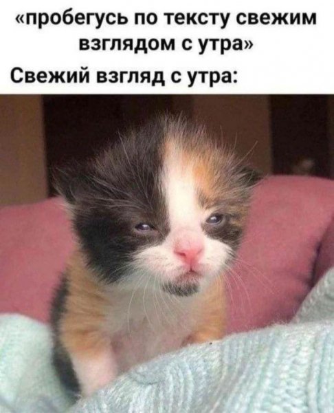 Jumora-na-malenkuju-sredu-memy-i-pozitivnye-fotografii-11