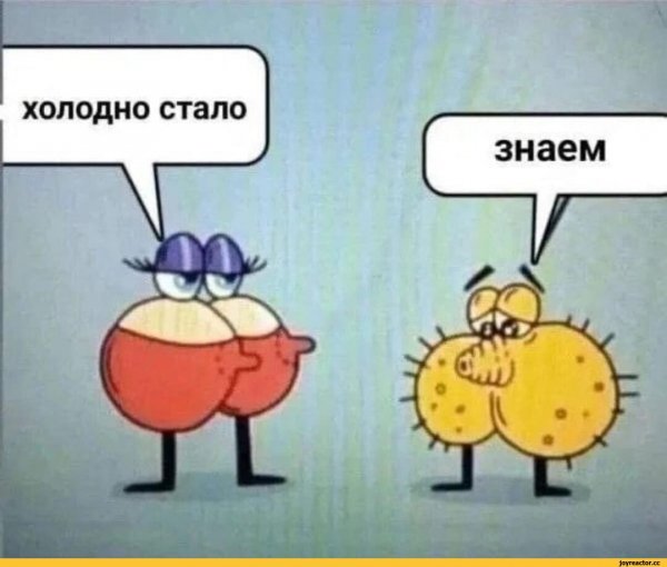Картинки-Холодно-nsfw-8641065