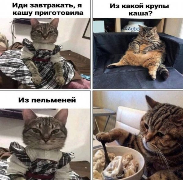 F24a5a9492 20301702