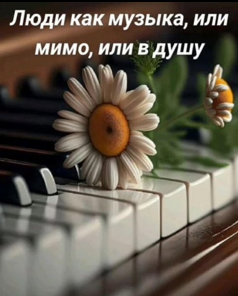 IMG-20250828-WA0183
