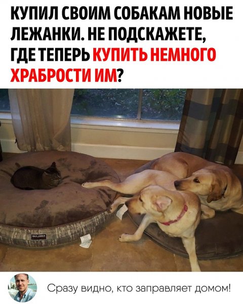 А???