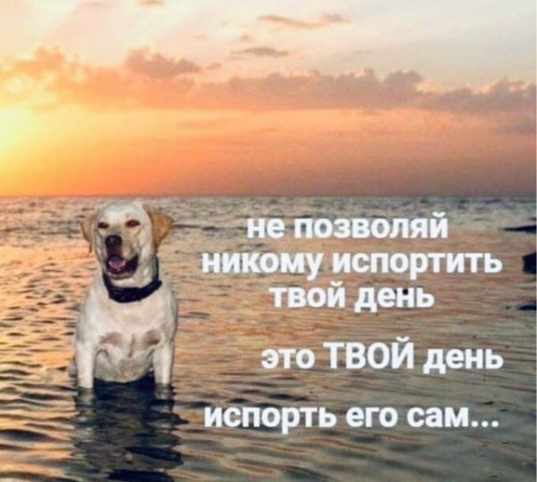 3b5a3dae74 20275213