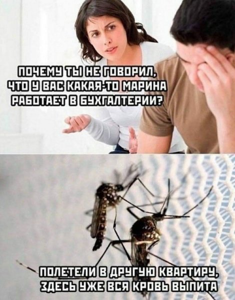0b5fbb7fdcb892af7c0feec16aba8f68