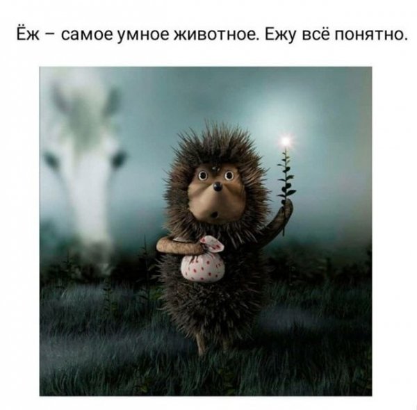 IMG 20250910 105201