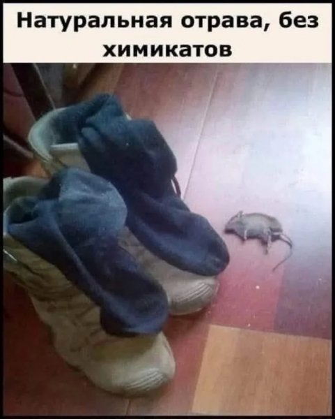 Mem5
