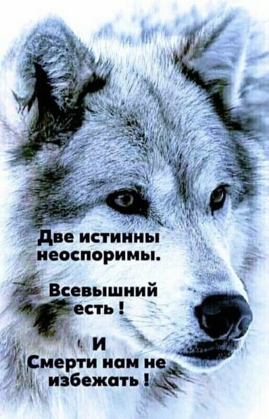 IMG 20250525 232004