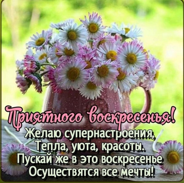 Друзья мои!
