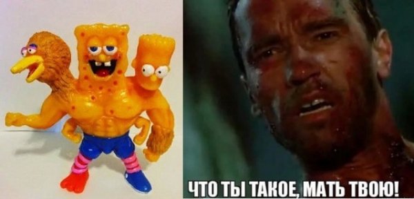 1c74414cee 20291884