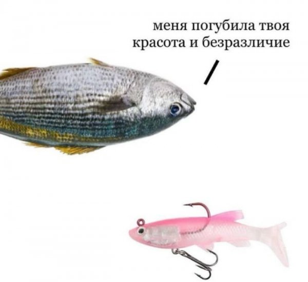 Sbornik-memov-i-kartinok-dlja-nastroenija-i-ulybki-3