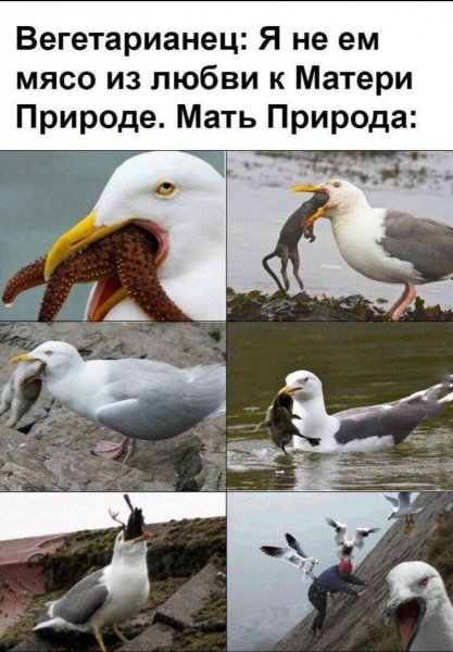 p.1200.1200.0