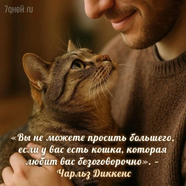 CcCfkw7mXauPSqFxZQgFP1zQVr8q55AvwhDCTqMKYGudVdwjYWebFVO-QCkm