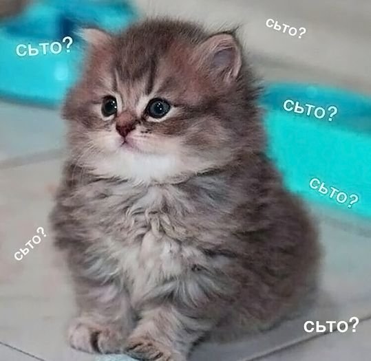 КотЭ)