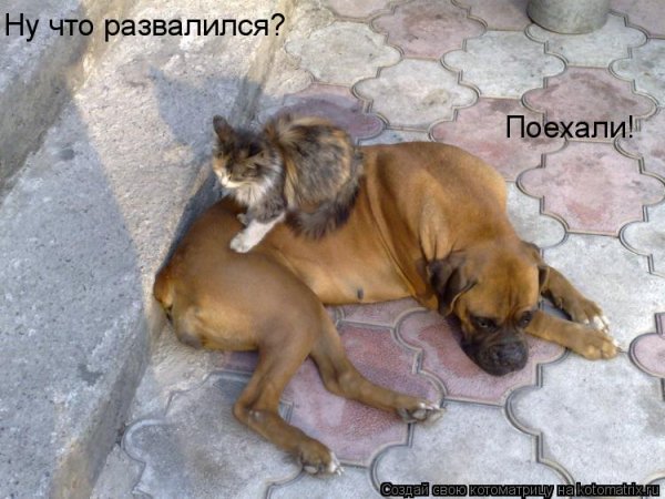 Поехали!