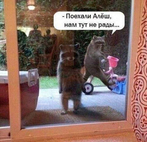 F7fc396271 amoralnyj-jumor-v-memah-dlja-teh-kto-ponimaet-8