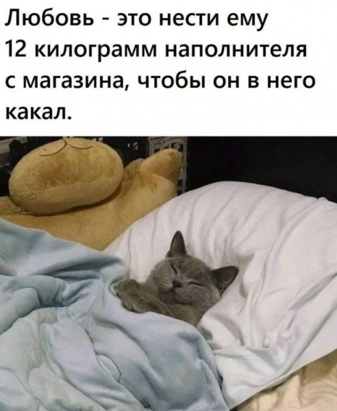 Jumora-na-malenkuju-sredu-memy-i-pozitivnye-fotografii-14