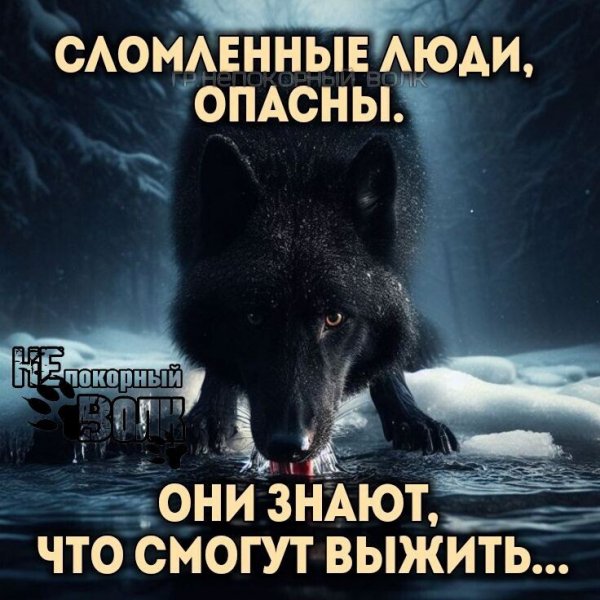 IMG 20250528 124447