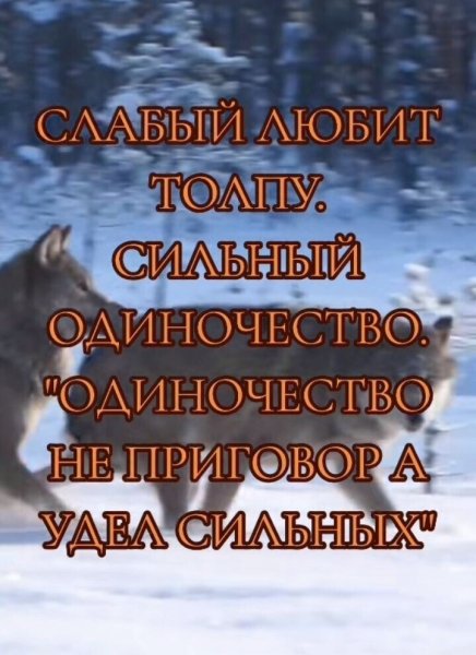 IMG 20250512 064756