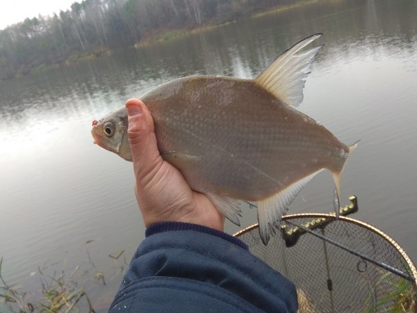 picture_374003858