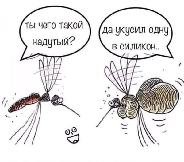 IMG 1756991572534