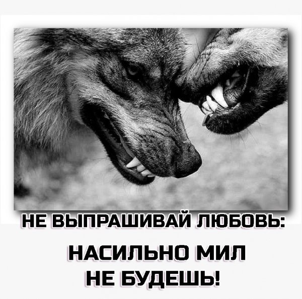 IMG 20250530 192325