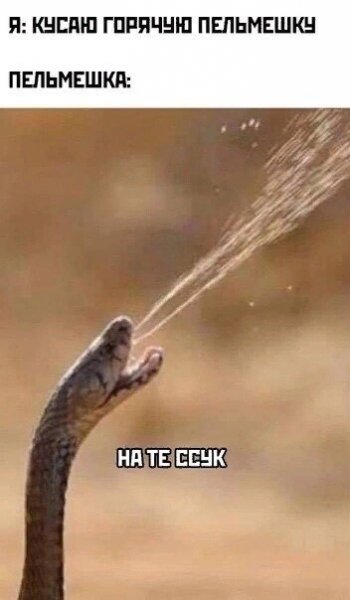 Nfbbdyya