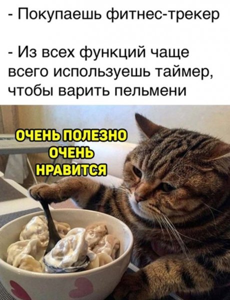 ff5a0c amoralnyj-jumor-v-memah-dlja-teh-kto-ponimaet-37