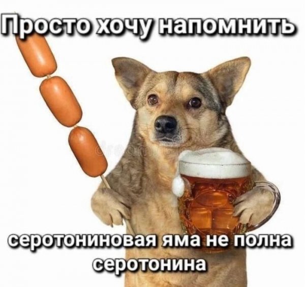 Sbornik-memov-i-kartinok-dlja-nastroenija-i-ulybki-9
