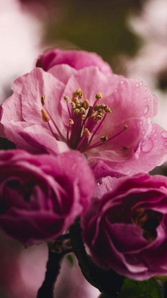 Tumblr l 1281520628520533