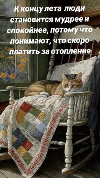 picture_394623336