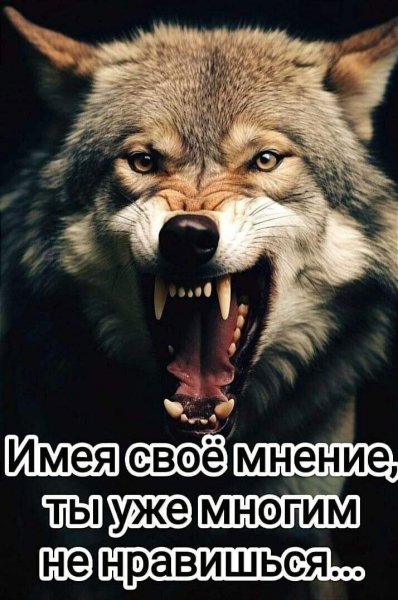 IMG 20250512 093541