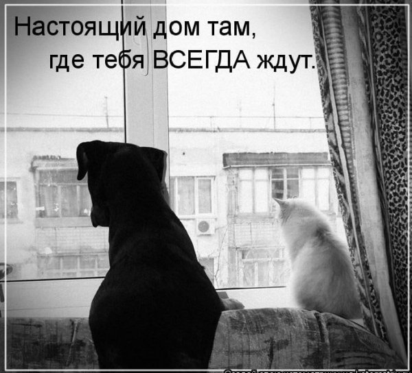 Так!